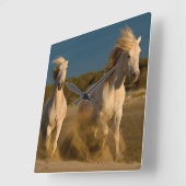 ホワイトホースランニングズオンビーチ | Camargg，フランス スクエア壁時計 (傾斜)