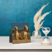 ホワイトホースランニングズオンビーチ | Camargg，フランス フォトプラーク (インサイチュ)