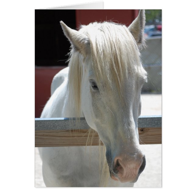 ホワイトホース美しい (正面)