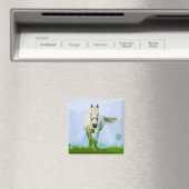 ホワイトホース色彩の鮮やかポートレート マグネット (インサイチュ (食洗機))