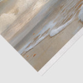 ホワイトホース走のビーチデコページ 薄葉紙 (詳細)