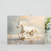 ホワイトホース走ズオンザビーチスクラップブック紙 (スタンド正面)