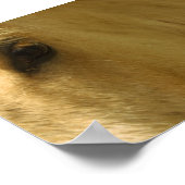 ホワイトホース閉じる ポスター (角)