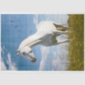 ホワイトホース1デコページ紙 薄葉紙 (正面)