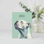 ホワイトボクサー ポストカード (スタンド正面)