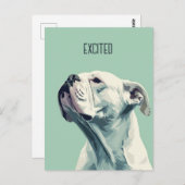 ホワイトボクサー ポストカード (正面/裏面)