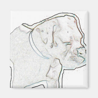 ホワイトボクサー マグネット