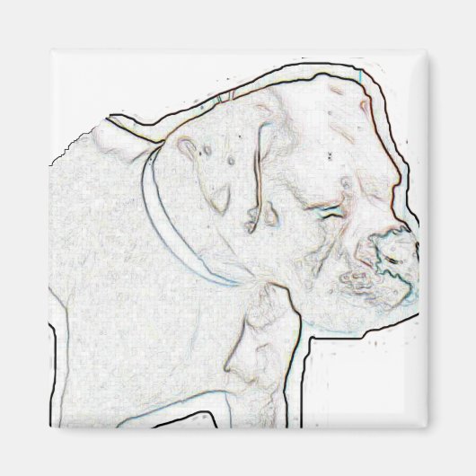 ホワイトボクサー マグネット (正面)