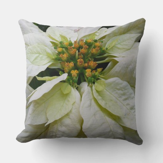 ホワイトポインセチアエレガントクリスマスホリデーフローラ クッション (正面)