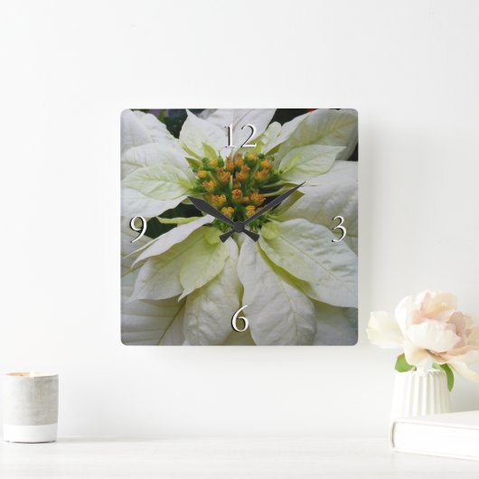 ホワイトポインセチアエレガントクリスマスホリデーフローラ スクエア壁時計 (ホーム)