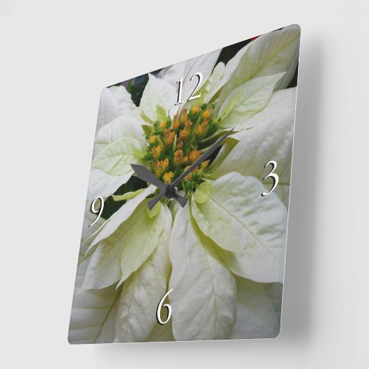 ホワイトポインセチアエレガントクリスマスホリデーフローラ スクエア壁時計 (傾斜)