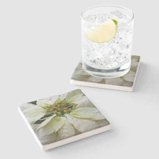 ホワイトポインセチアエレガントクリスマスホリデーフローラ ストーンコースター (横)
