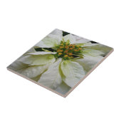 ホワイトポインセチアエレガントクリスマスホリデーフローラ タイル (側面)