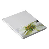 ホワイトポインセチアエレガントクリスマスホリデーフローラ ノートパッド (アングル)