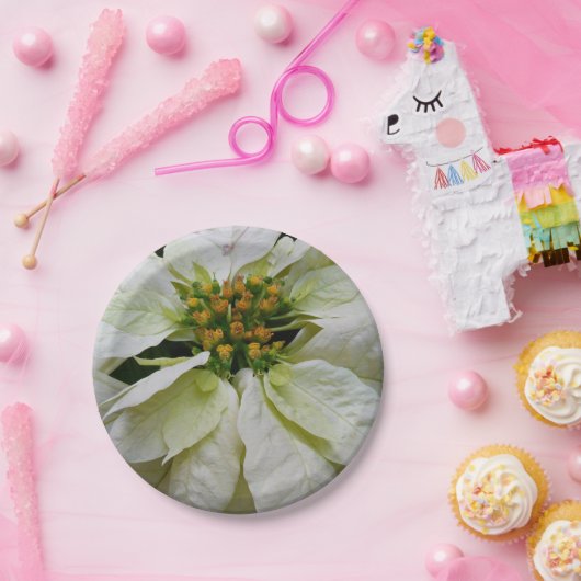 ホワイトポインセチアエレガントクリスマスホリデーフローラ ペーパープレート (パーティー)