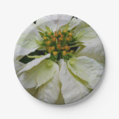 ホワイトポインセチアエレガントクリスマスホリデーフローラ ペーパープレート (正面)