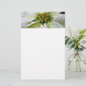 ホワイトポインセチアエレガントクリスマスホリデーフローラ 便箋 (スタンド正面)