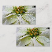 ホワイトポインセチアエレガントクリスマスホリデーフローラ 名刺 (正面/裏面)