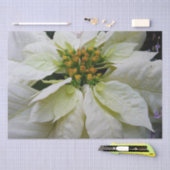ホワイトポインセチアエレガントクリスマスホリデーフローラ 薄葉紙 (クラフト)