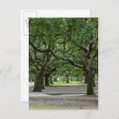 ホワイトポイントガーデンズパインタリー ポストカード (正面/裏面)