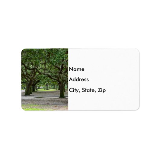 ホワイトポイントガーデンズパインタリー ラベル (正面)