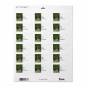 ホワイトポイントガーデンズパインタリー ラベル (フルシート)