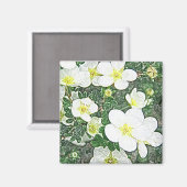 ホワイトポテンシラ磁石 マグネット (正面/裏面)