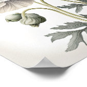 ホワイトポピー花アートプリントポスター ポスター (角)