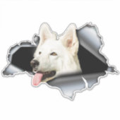 ホワイトポメラニア犬シール,車のデカール,ポメラニア犬 シール (正面)