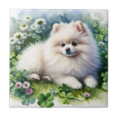 ホワイトポメラニア犬ドッグウォーターカラークローバーフィールド タイル (正面)