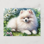 ホワイトポメラニア犬ドッグウォーターカラークローバーフィールド ポストカード (正面)