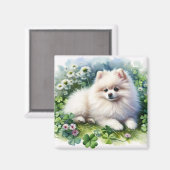 ホワイトポメラニア犬ドッグウォーターカラークローバーフィールド マグネット (正面/裏面)