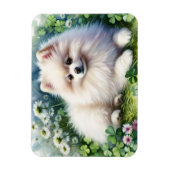 ホワイトポメラニア犬ドッグウォーターカラークローバーフレキシブル マグネット (縦)