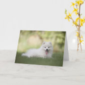 ホワイトポメラニア犬ドッグハッピーバースデー カード (黄色い花)