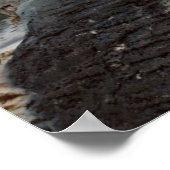 ホワイトポーラベアハンターの岩 ポスター (角)