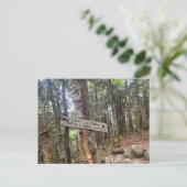 ホワイトマウンテンズガーフィールドリッジキャンプサイトポストカード ポストカード (スタンド正面)