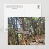 ホワイトマウンテンズガーフィールドリッジキャンプサイトポストカード ポストカード (正面/裏面)