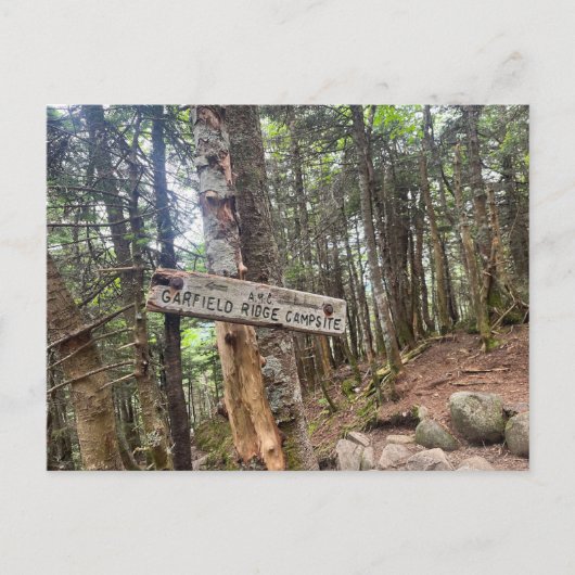 ホワイトマウンテンズガーフィールドリッジキャンプサイトポストカード ポストカード (正面)