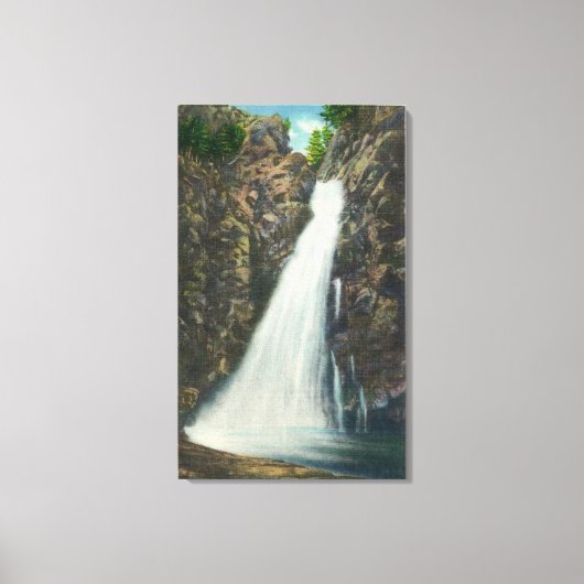 ホワイトマウンテンズナトルフォレスト キャンバスプリント (正面)