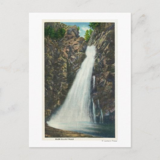 ホワイトマウンテンズナトルフォレスト ポストカード (正面)