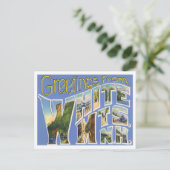 ホワイトマウンテンズニューハンプシャーヴィンテージビッグレター ポストカード (スタンド正面)