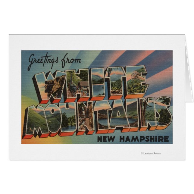 ホワイトマウンテンズニューハンプシャー4 (正面横)