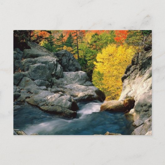 ホワイトマウンテンナショナルフォレストNH ポストカード (正面)