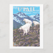 ホワイトマウンテンヤゴファミリーユタ ポストカード (正面)