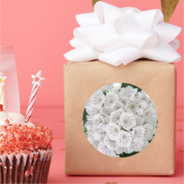 ホワイトマウンテンローレルの星型の花 ラウンドシール