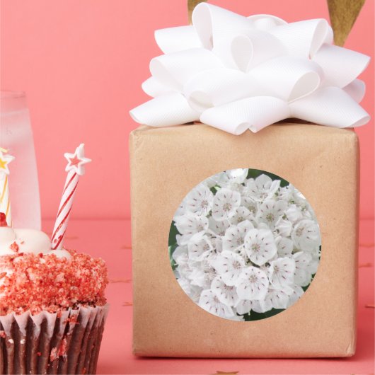 ホワイトマウンテンローレルの星型の花 ラウンドシール (パーティー)