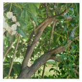 ホワイトマウンテンローレルブランチ タイル (正面)