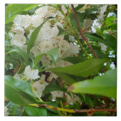 ホワイトマウンテンローレル葉セラミックタイル タイル (正面)