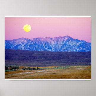 ホワイトマウンテン、カリフォルニア州、エタツユニス ポスター