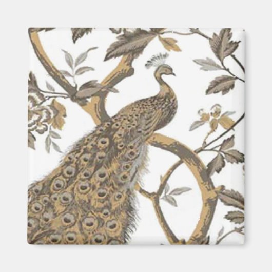 ホワイトマエレガントグネット上の孔雀 マグネット (正面)